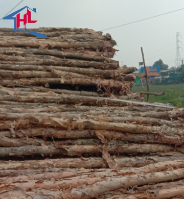 Cừ Tràm Các Loại